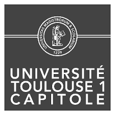 Toulouse 1